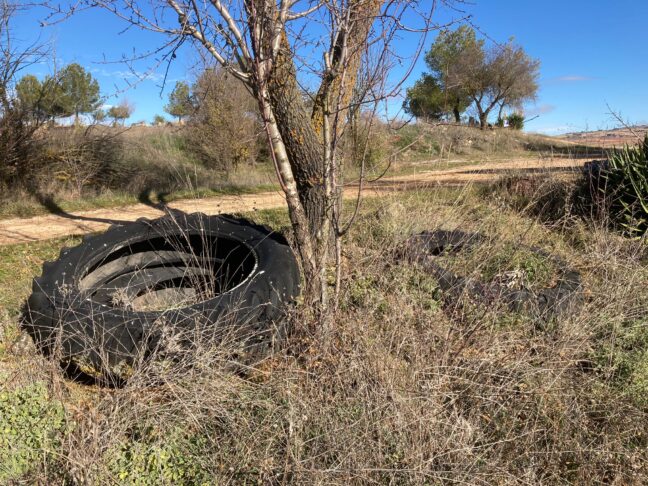 La Administración General del Estado considera inconstitucional la ley de Castilla-La Mancha que permite cazar en vías pecuarias
