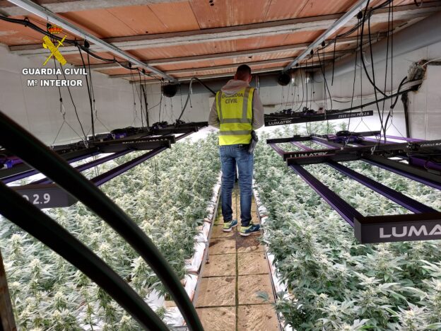 La Guardia Civil desarticula un cultivo de marihuana con 1472 plantas en la localidad de Méntrida