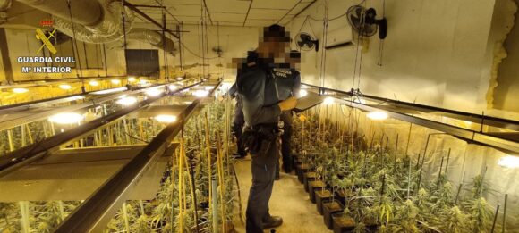 La Guardia Civil detiene a una persona por cultivo y elaboración de drogas en El Carpio de Tajo