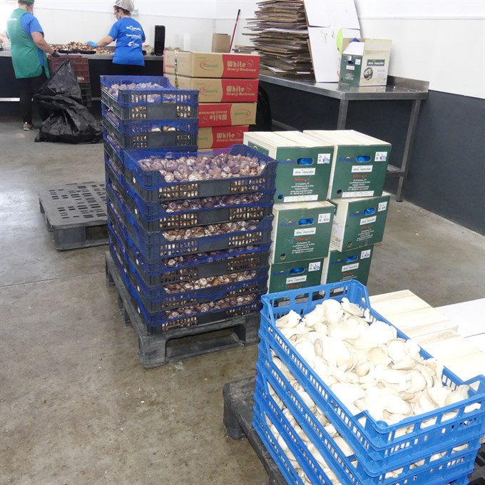 Ceoe Cepyme Cuenca indica que siguen creciendo las exportaciones aunque se resienten alimentos y bebidas
