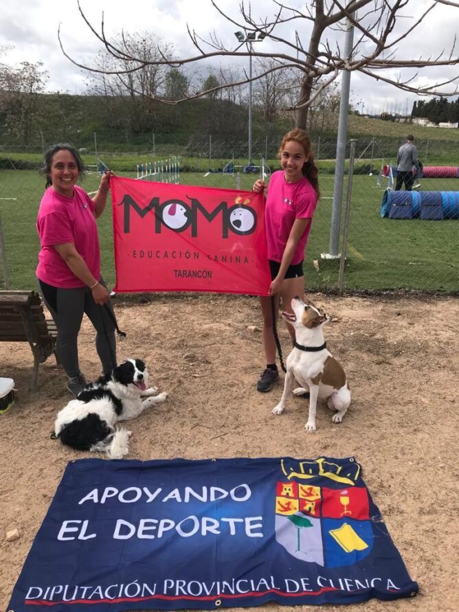 Destacada actuación de los binomios de Momo Agility Tarancón en el Open de Villarejo de Salvanés (Madrid)
