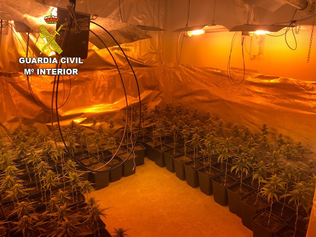 La Guardia Civil investiga a dos personas e interviene una plantación de marihuana en Yepes