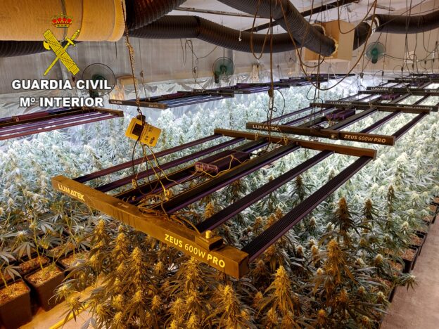 La Guardia Civil desarticula un grupo criminal dedicado al cultivo de marihuana en viviendas ocupadas en Alcabón