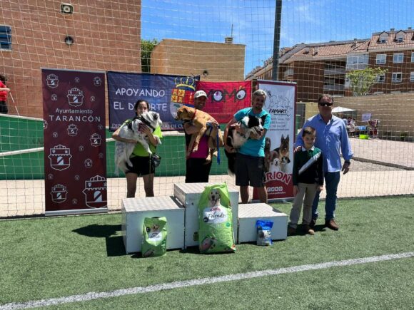 Buena organización y excelente nivel en la prueba Agility disputada en el campo San Isidro de Tarancón de la mano de Momo Tarancón.