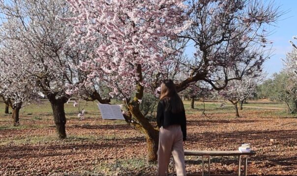 La alumna de Casasimarro, Elsa López, ganadora en Castilla-La Mancha del concurso ‘¿Qué es un rey para ti?’