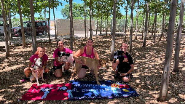 “Mejor perro de la prueba” del fin de semana, un primer puesto en “competición”, podium en “Promoción 60”  y ascenso de nivel o categoría para otro binomio, entre los resultados del Club Momo Agility Tarancón en la prueba de la Liga “Ambas Castillas” en Ciudad Real.