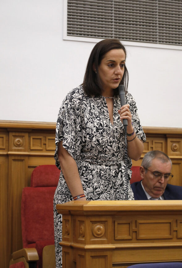 Roldán pregunta a la Junta si va a arreglar la carretera entre Villalba y Gascueña, “en 36 años del gobierno del Psoe los vecinos no han visto una máquina”