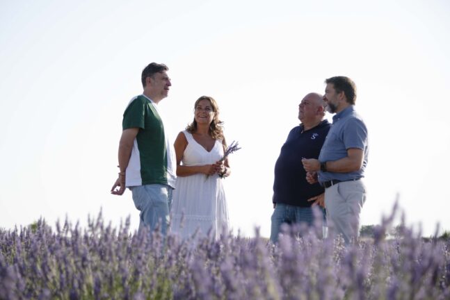 Cs blinda su apoyo a la lavanda “es un producto clave para la dinamización de la economía en esta zona”