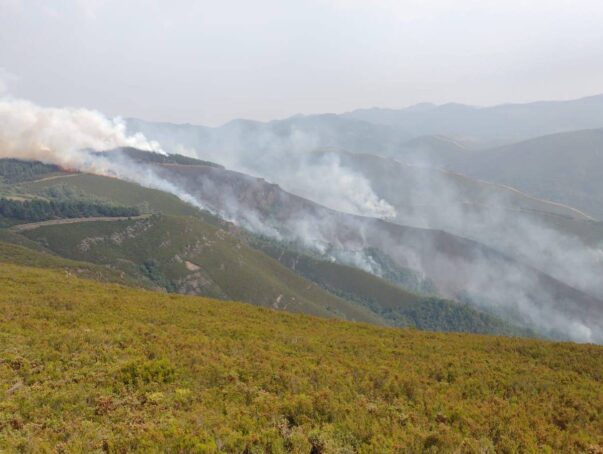 La Revuelta de la España Vaciada transmite su apoyo a los afectados por los incendios, y se ofrece a colaborar para un cambio de modelo preventivo
