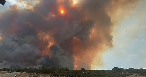 UPA pide un Pacto de Estado contra los incendios que cuente con la población rural