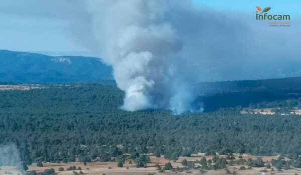 El incendio forestal declarado esta mañana en Carrascosa de la Sierra pasa a nivel 1
