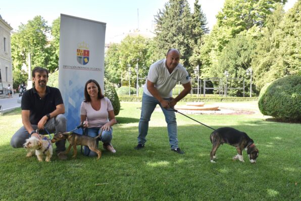 El Albergue Provincial de Animales de la Diputación de Cuenca ha atendido a 12.780 perros en los 20 años de funcionamiento