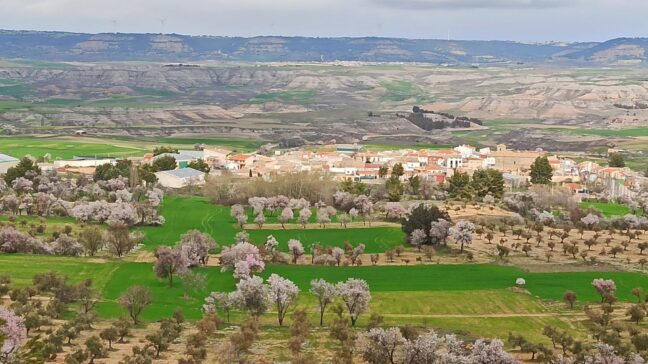 Los pueblos de la Alcarria conquense afectados por proyectos de macrogranjas acogen charlas informativas este fin de semana