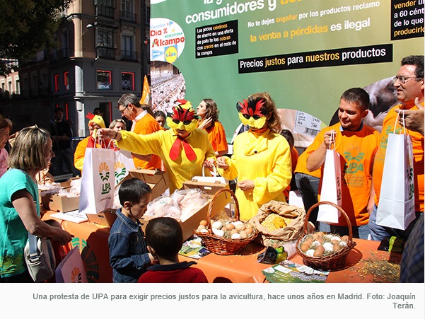 UPA amenaza con movilizaciones en septiembre si continúa el desprecio a los avicultores