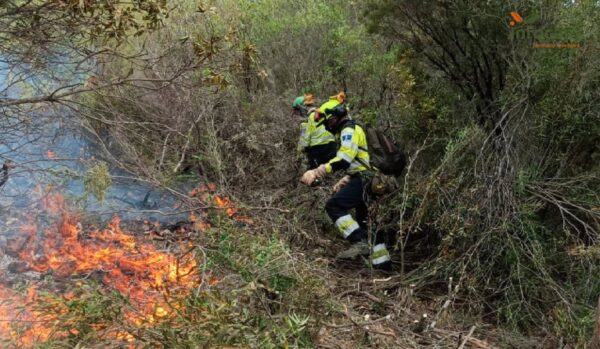 SEPRONA investiga a dos personas como supuestos autores de un delito de incendio forestal en Almadén