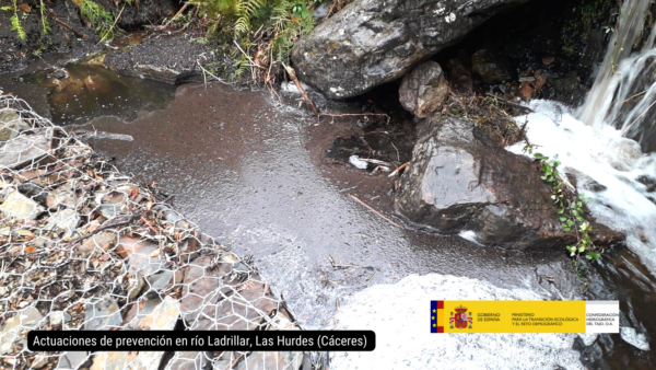 La Confederación Hidrográfica del Tajo  trabaja en la recuperación ambiental de las  zonas afectadas por los graves incendios en  varias provincias de la demarcación  hidrográfica