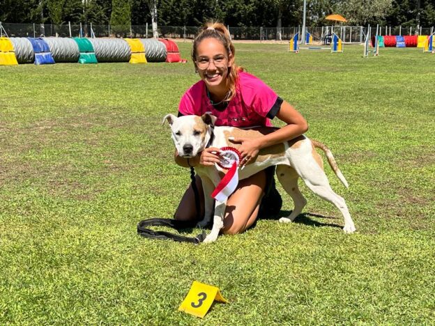 Varios títulos para el club Momo Agility Tarancon al finalizar la Liga Ambas Castilla de Agility