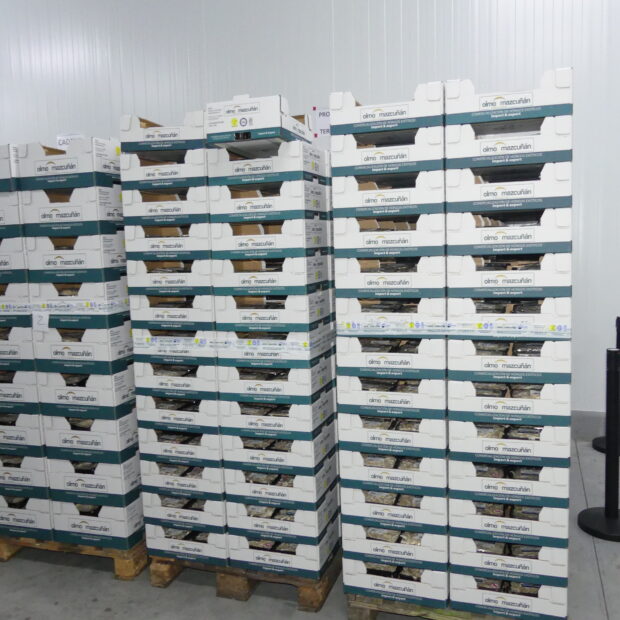 Ceoe Cepyme Cuenca indica que las exportaciones siguen mostrando un crecimiento constante