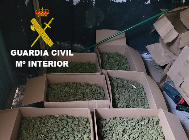 Desmanteladas tres  plantaciones indoor de marihuana una de ellas en “El Ballestar”,  otra en la Urbanización de Casalonga de Villar de Cañas y la última en la  localidad de Saelices.