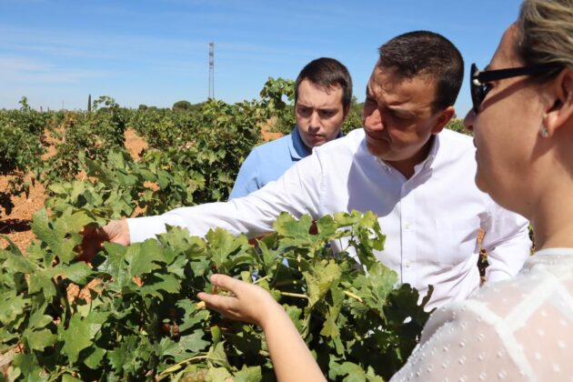 El Gobierno regional destaca el valor del vino embotellado, con denominación y que ahora podrá contar con la diferenciación de ‘vinos de finca’