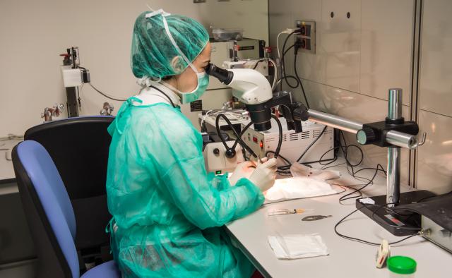 El Hospital Nacional de Parapléjicos y la Universidad ‘Anáhuac México Campus Norte’ colaborarán en la investigación de la lesión medular