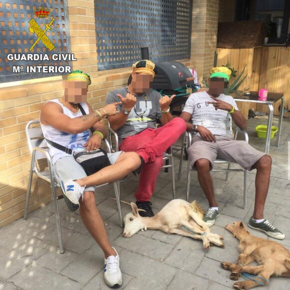 La Guardia Civil investiga a un varón que realizaba trabajos de santería matando a animales de granja en la localidad de Yuncos.