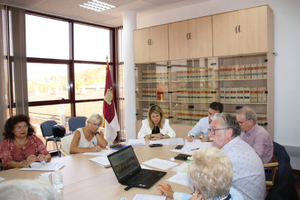 El Consejo de Salud se pone al día de las mejoras y avances en materia sanitaria en el área de Salud de Cuenca