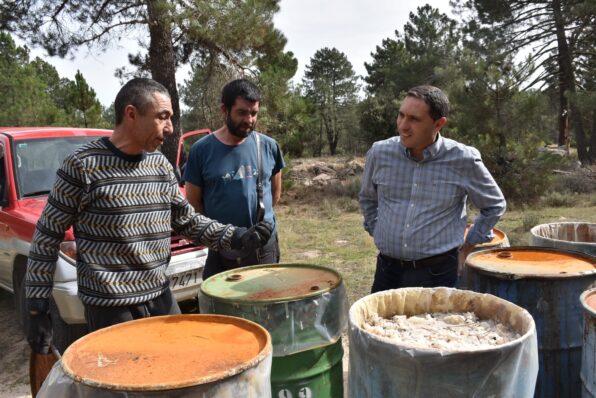 La Diputación de Cuenca publica la convocatoria de ayudas al sector resinero dotada con un presupuesto de 24.000 euros