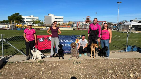 Continua la preparación de los binomios de Momo Agility de Tarancón ante las próximas competiciones