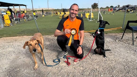 Con vistas al próximo campeonato de España Agility que se disputara entre los días 29 al 31 de este mes en Zaragoza el Club Momo de Tarancon intensifica la preparación de los binomios que estarán en el mismo.