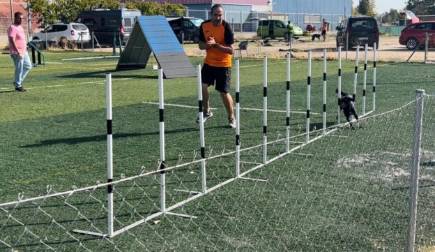 El CD Momo Agility, eligió Pozuelo para durante el fin de semana seguir la preparación del Campeonato de España con los binomios