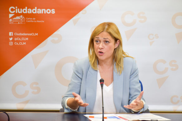 Picazo (Cs): «De la rebaja de la sedición lo único que le preocupa a Page es perder votos»