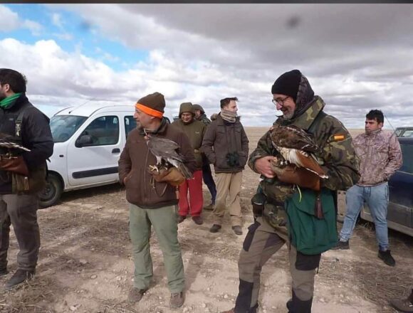 Veintiún cetreros participan en el I Campeonato Autonómico de Cetrería de CLM