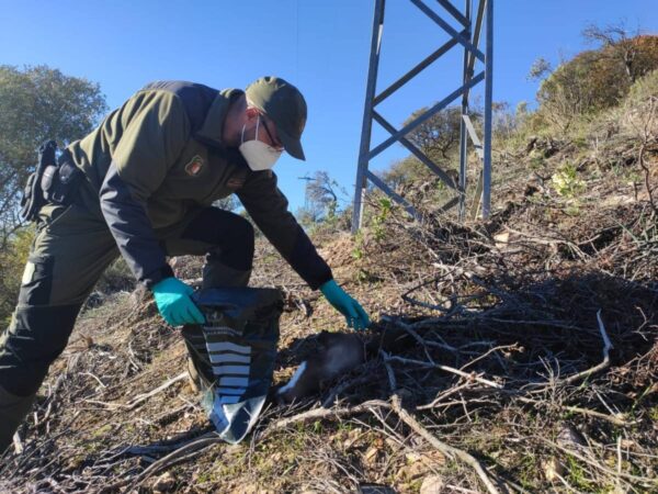 UGT advierte de la desprotección del medio natural en esta época del año debido a la reducción del número de agentes medioambientales