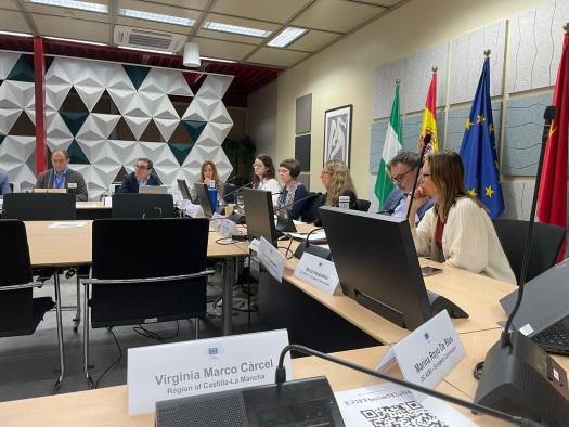 La Comisión Europea pone a Castilla-La Mancha como ejemplo a seguir en la implementación de medidas contra la despoblación
