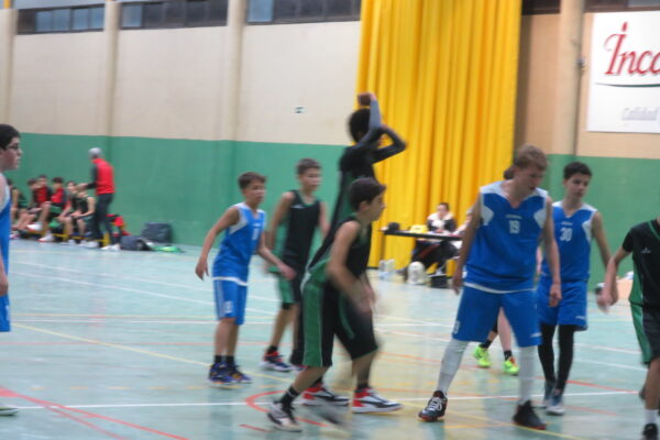En baloncesto, el Hormigones y Ferrallas CB Tarancón, despide el año con desplazamiento en la categoría Senior (Fase Zonal) y en casa, Liga Regional Cadete y su asociado infantil.