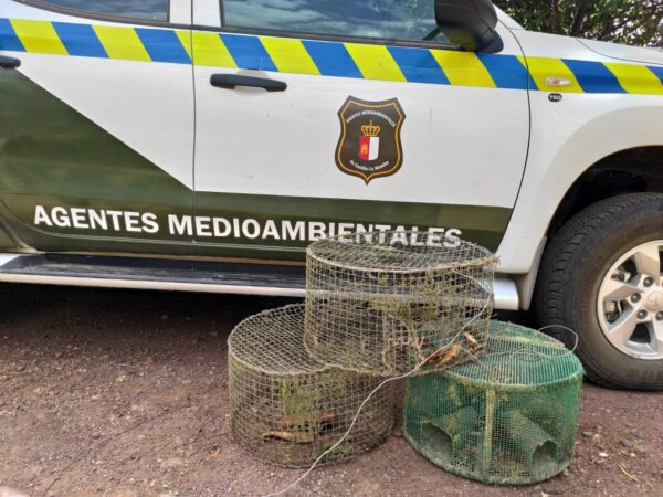 UGT denuncia el éxodo de agentes medioambientales a otras comunidades autónomas