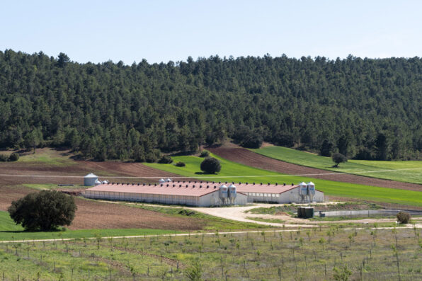 Incarlopsa participa en su primer proyecto de investigación de ámbito europeo para reforzar la bioseguridad en las granjas