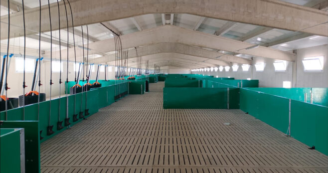 ICPOR refuerza su compromiso con el bienestar animal y obtiene la certificación Welfair®
