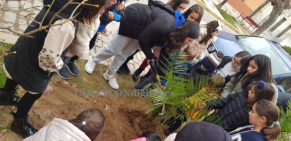 Los peques de la Peña El Mosto de Tarancón realizaban este sábado una plantación de palmeras en el Paseo de la Estación