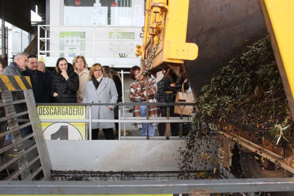 Alrededor de 140.000 hectáreas de olivar de bajo rendimiento de Castilla-La Mancha podrán recibir una ayuda excepcional con la nueva PAC