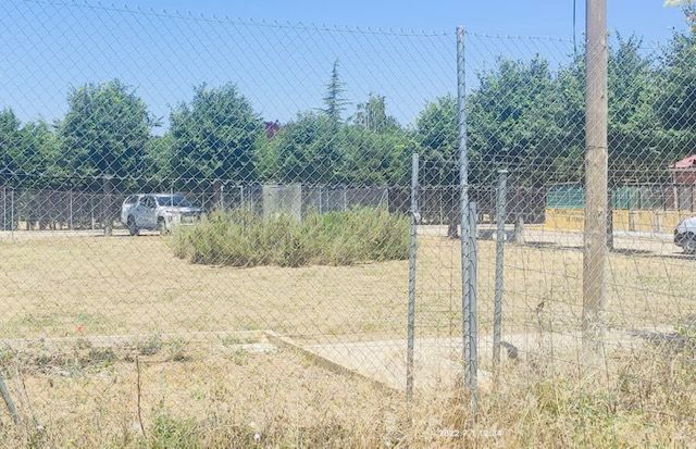El PP acusa a la Diputación de opacidad en la gestión del Albergue de Animales y pide explicaciones sobre irregularidades en chips de identificación de perros