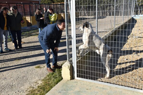 La Diputación de Cuenca construirá unas nuevas instalaciones “modernas y sostenibles” para el Albergue de Animales en Arcas
