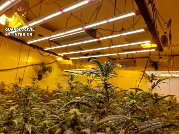 La Guardia Civil detiene a once personas que componían una banda criminal muy activa, dedicada al tráfico de drogas, al cultivo de marihuana y a robos