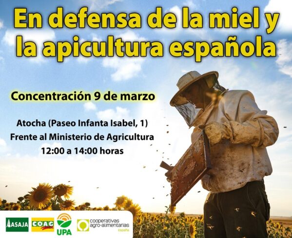 Catástrofe apícola: el sector unido convoca una gran concentración en Madrid en defensa de la miel y la apicultura española