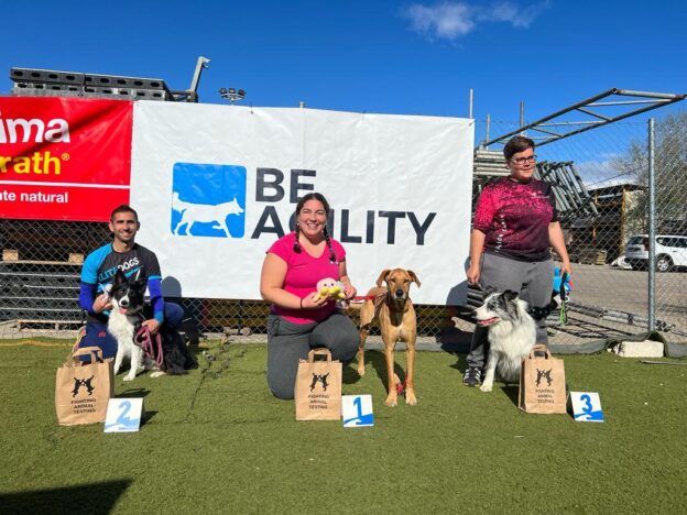Buenos resultados de  los binomios de Momo Agility Tarancón durante el fin de semana en las pruebas de Algete (Madrid) con podium y puntos para ascensos de los canes.
