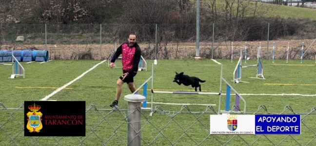 Tres binomios de Momo Agility Tarancón, bien situados en la Liga Castilla la Mancha de esta modalidad deportiva