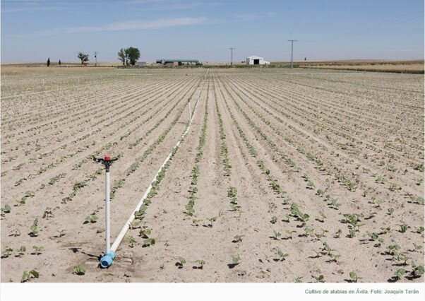 Semana complicada que ahonda la necesidad del refuerzo de seguros agrarios