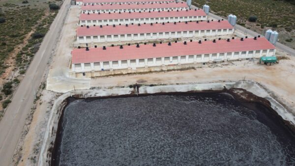 ¿Qué propuestas tienen las candidaturas de Castilla-La Mancha sobre macrogranjas, plantas de biogás y protección del agua?
