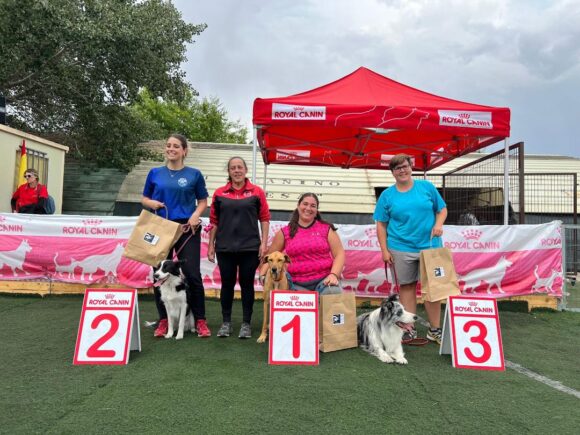 Los binomios de Momo Agility Tarancon, logran en las pruebas de Madrid, el fin de semana, las puntuaciones para ascensos y garantizan la presencia en el Campeonato de España.